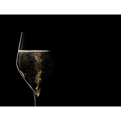 Collection Absolus - 20 cl - 6 verres à Champagne